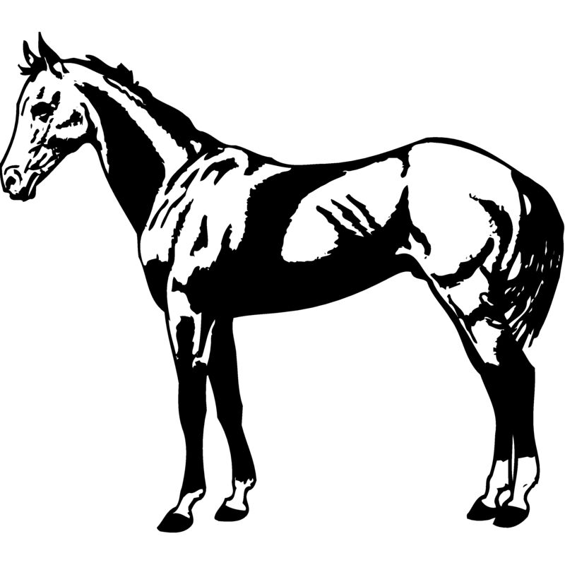 HORSE018 Thumbnail