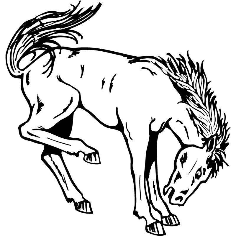 HORSE038 Thumbnail