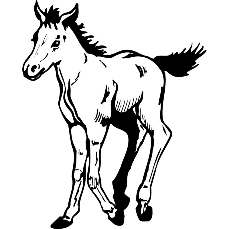HORSE044 Thumbnail