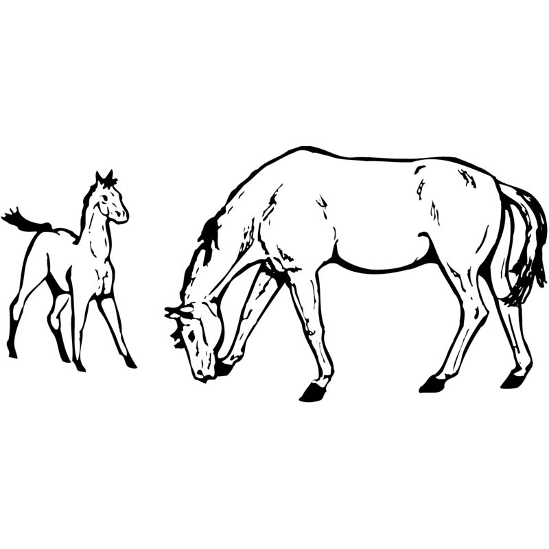HORSE045 Thumbnail
