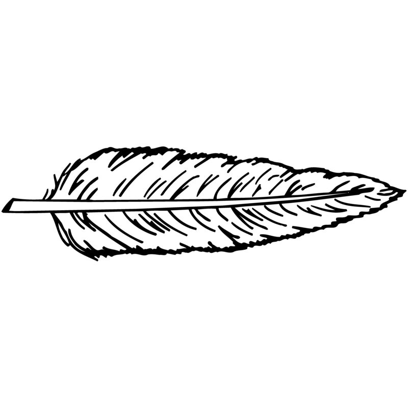 FEATHER Thumbnail