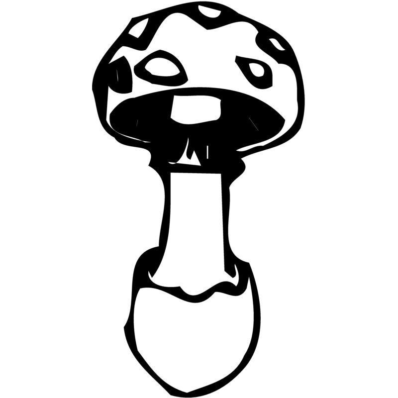 VEG027 Thumbnail